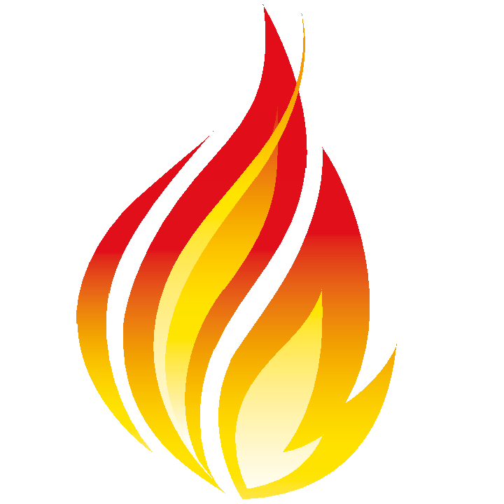 hl7-nederland-health-level-seven